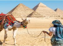 Voyage organisé Le Caire - Aswan - Luxor